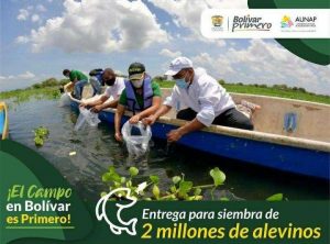 En #BolivarPrimero seguimos contribuyendo al recurso ictiológico en el departamento