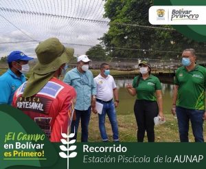 El campo primero