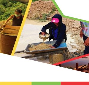 Diagnóstico Para La Implementación De Unidades Móviles De Negocio Joyero