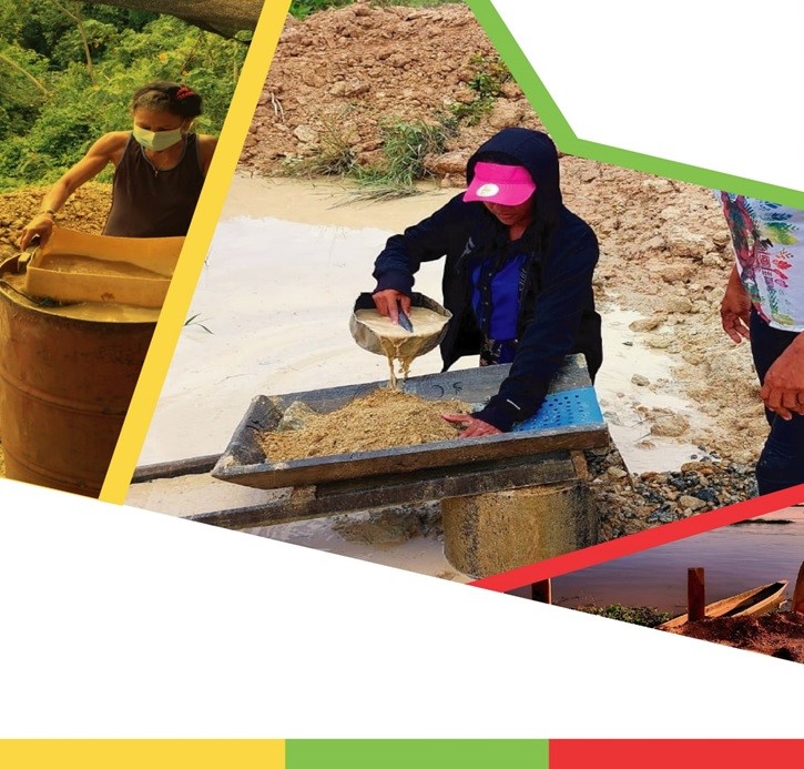 Diagnóstico Para La Implementación De Unidades Móviles De Negocio Joyero