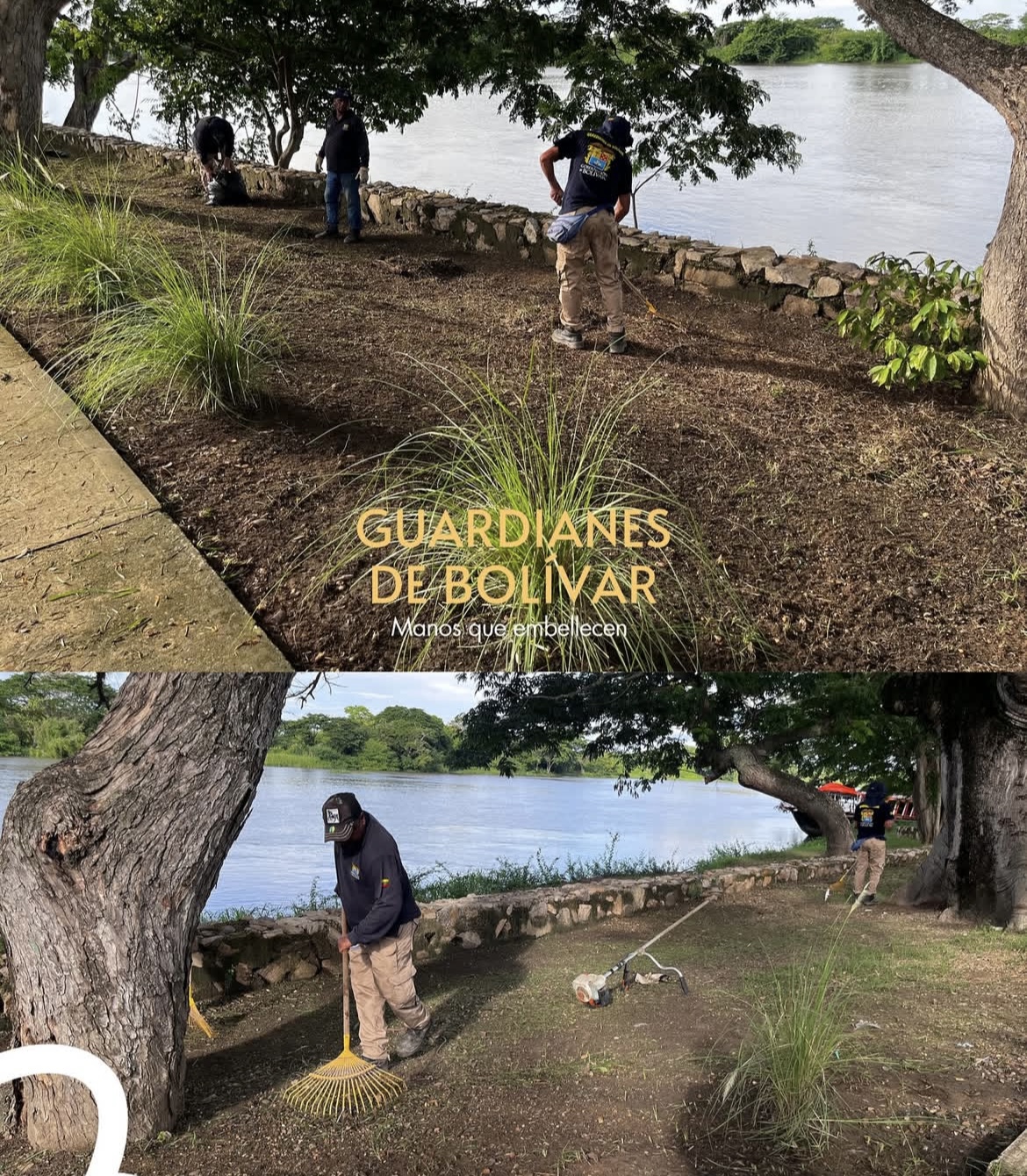 ¡GURADIANES DE BOLIVAR MANOS INCANSABLES!