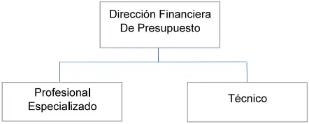 Organigrama de la Dirección Financiera de Presupuesto